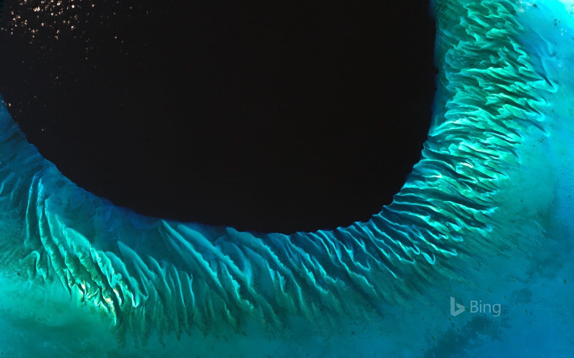 Bing Wallpaper: Satellite image of sand and seaweed in the Bahamas