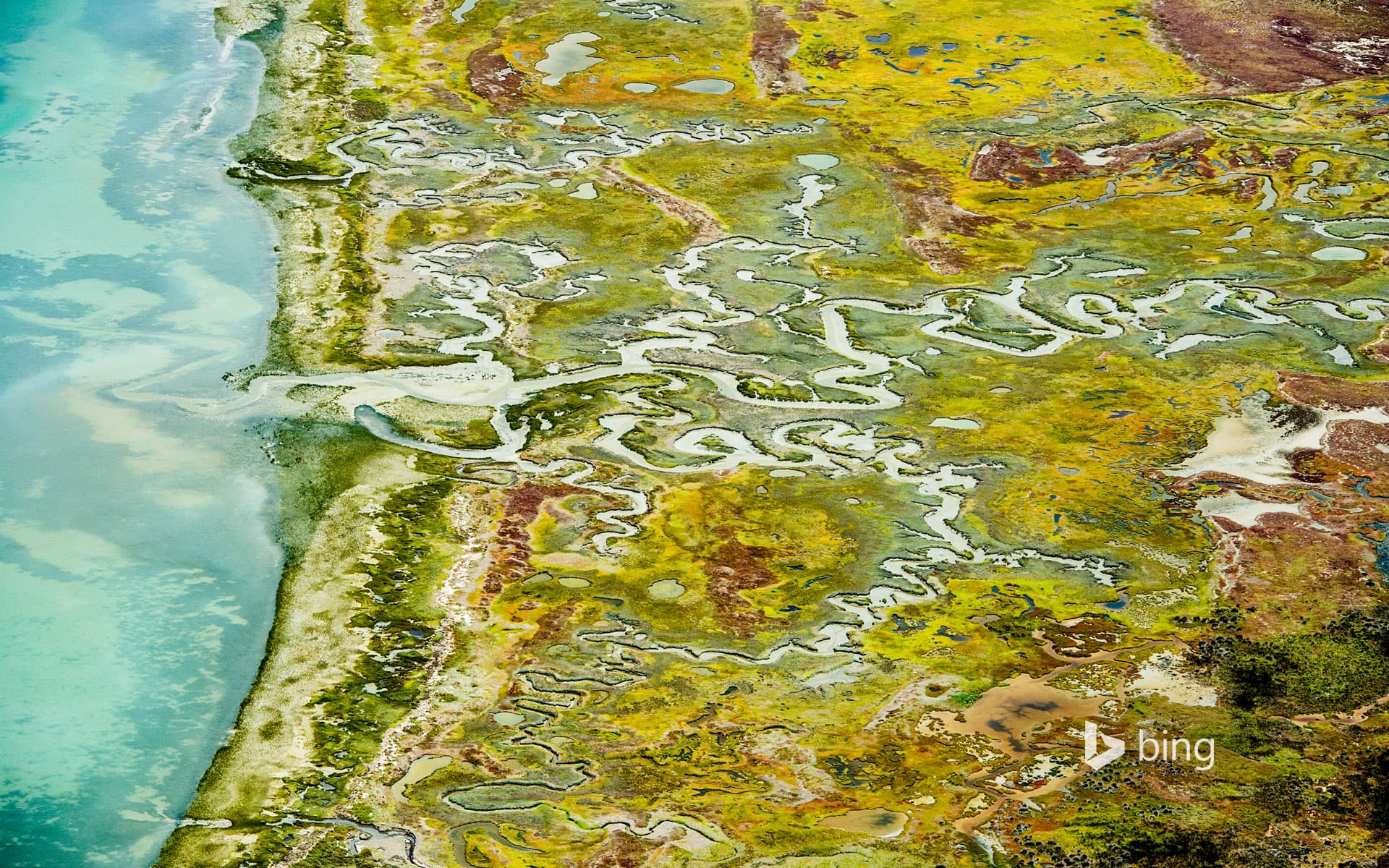 Bing Wallpaper: Langebaan Lagoon and West Coast National Park in South Africa