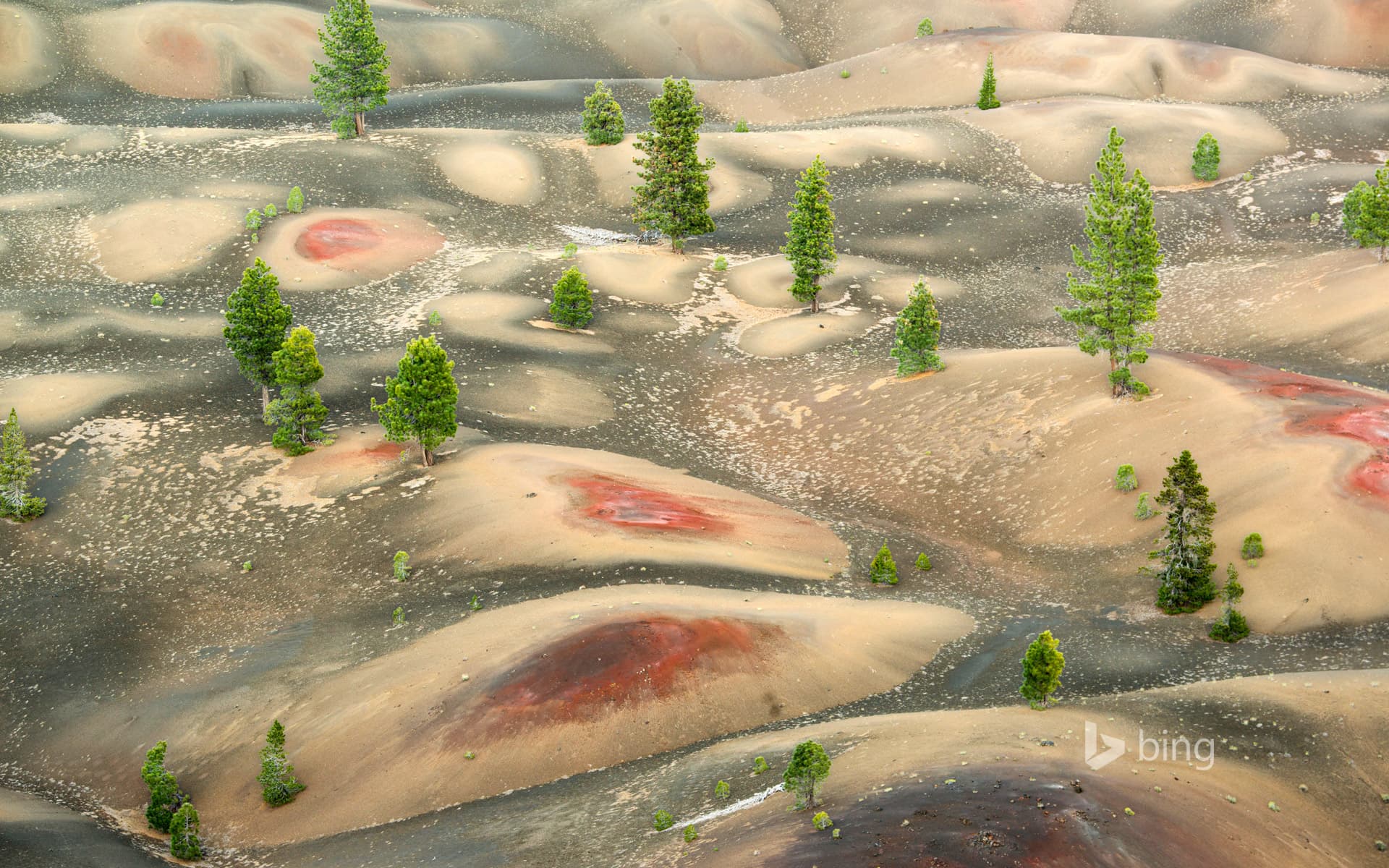 Bing Wallpaper: Painted Dunes below Cinder Cone, Lassen Volcanic National Park, California