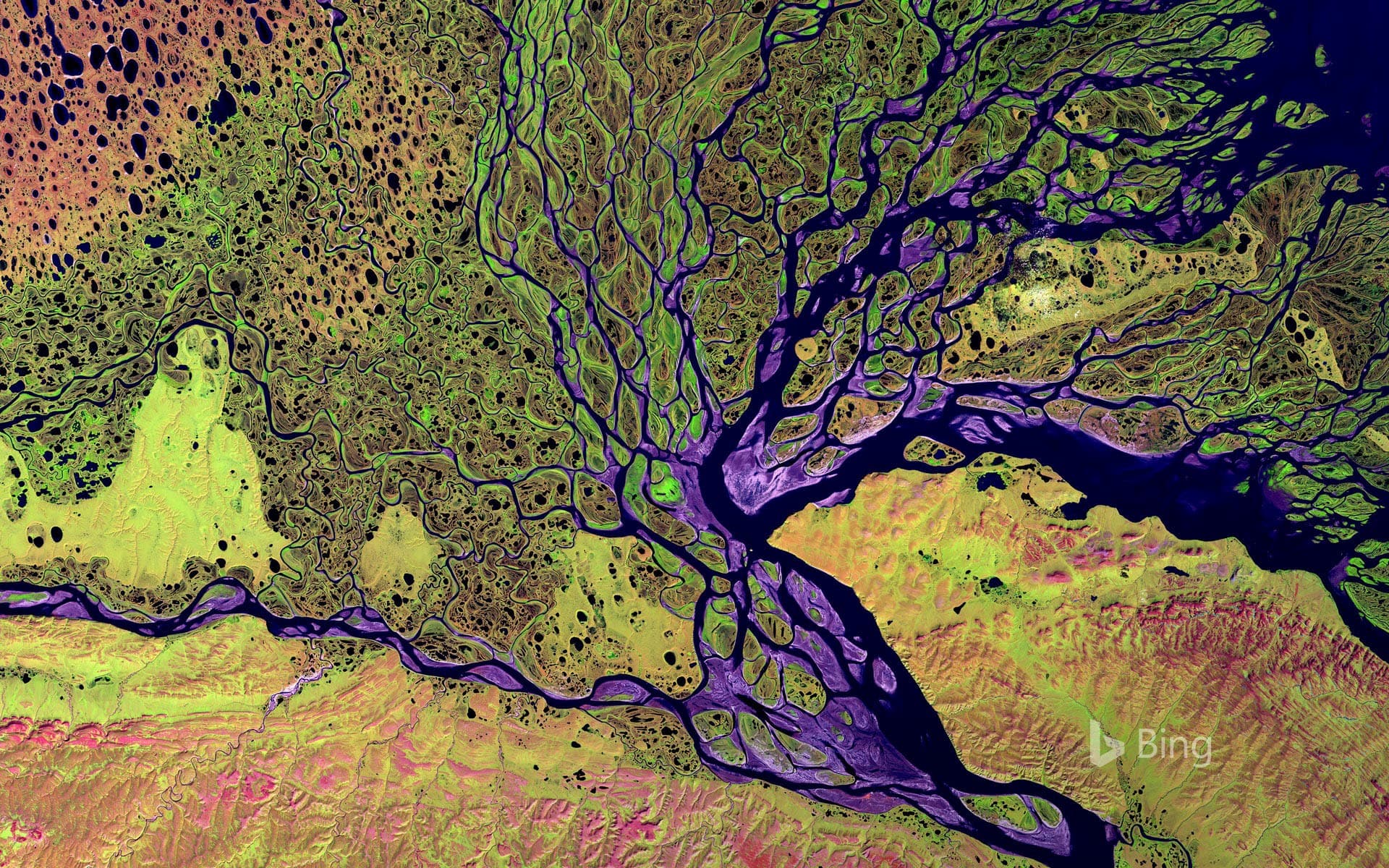 Bing Wallpaper: The Lena Delta Wildlife Reserve in Siberia, Russia