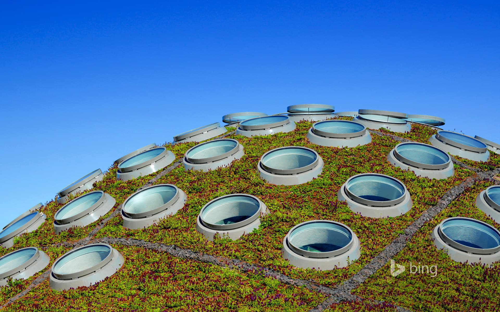 Bing Wallpaper: The Living Roof, California Academy of Sciences, Golden Gate Park, San Francisco, California