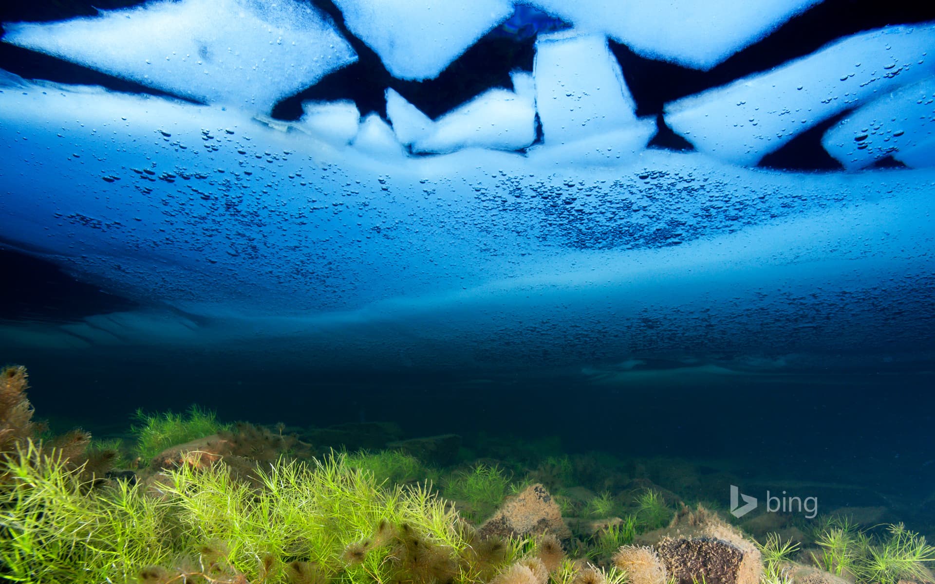 Bing Wallpaper: Ice on the surface of Llyn Idwal, Snowdonia