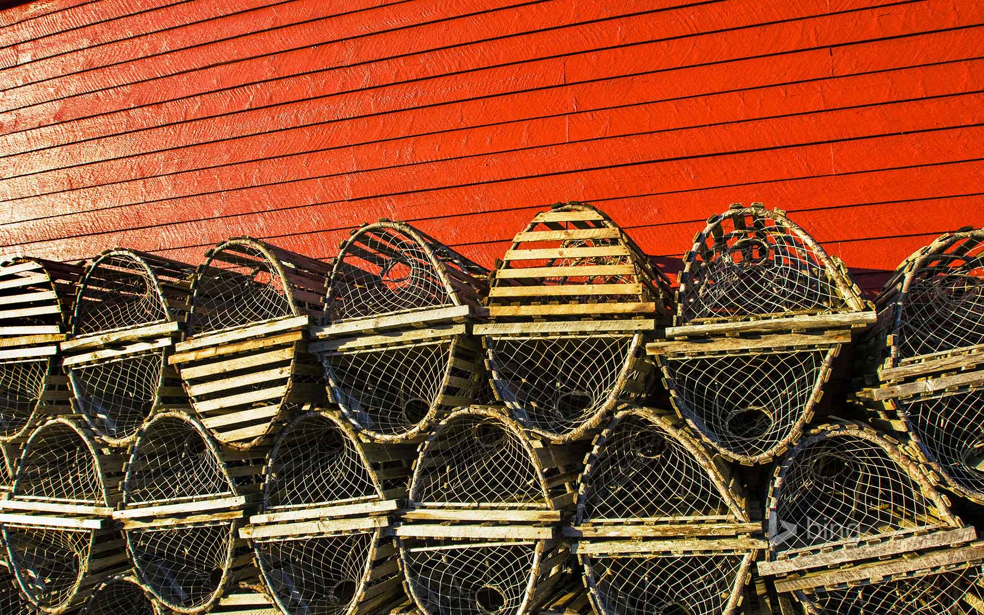 Bing Wallpaper: Lobster traps stacked against a red fishing shed in Newfoundland, Canada