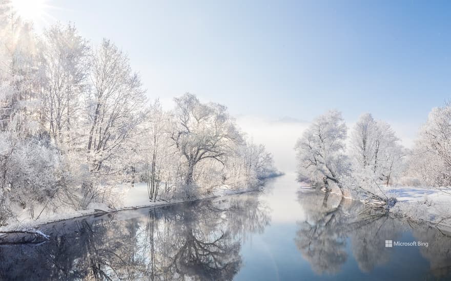 Frost-covered trees along the Loisach River, Kochelsee, Bavaria