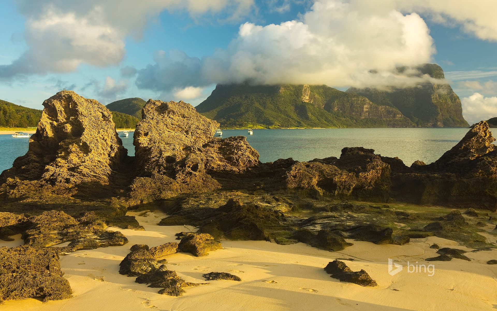 Bing Wallpaper: Limestone formations on Lord Howe Island, Australia