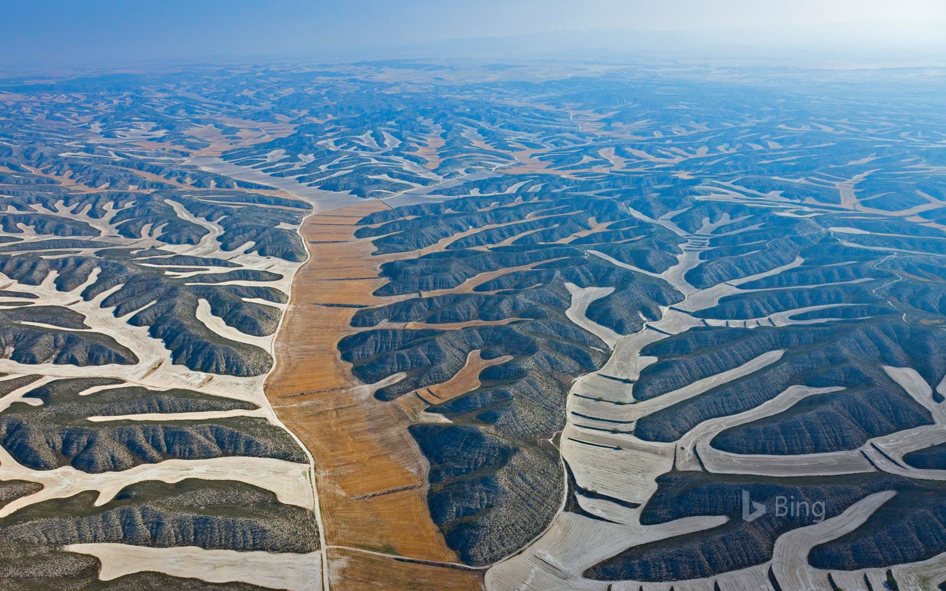 Bing Wallpaper: Agricultural fields in the Monegros Desert near Los Monegros, Spain