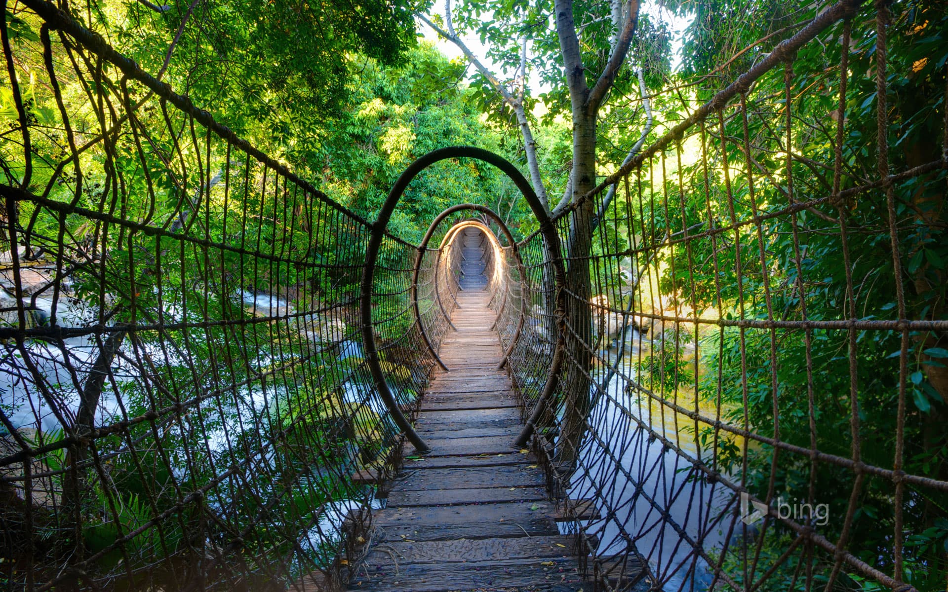 Bing Wallpaper: Sway bridge at The Palace of the Lost City, North West Province, South Africa