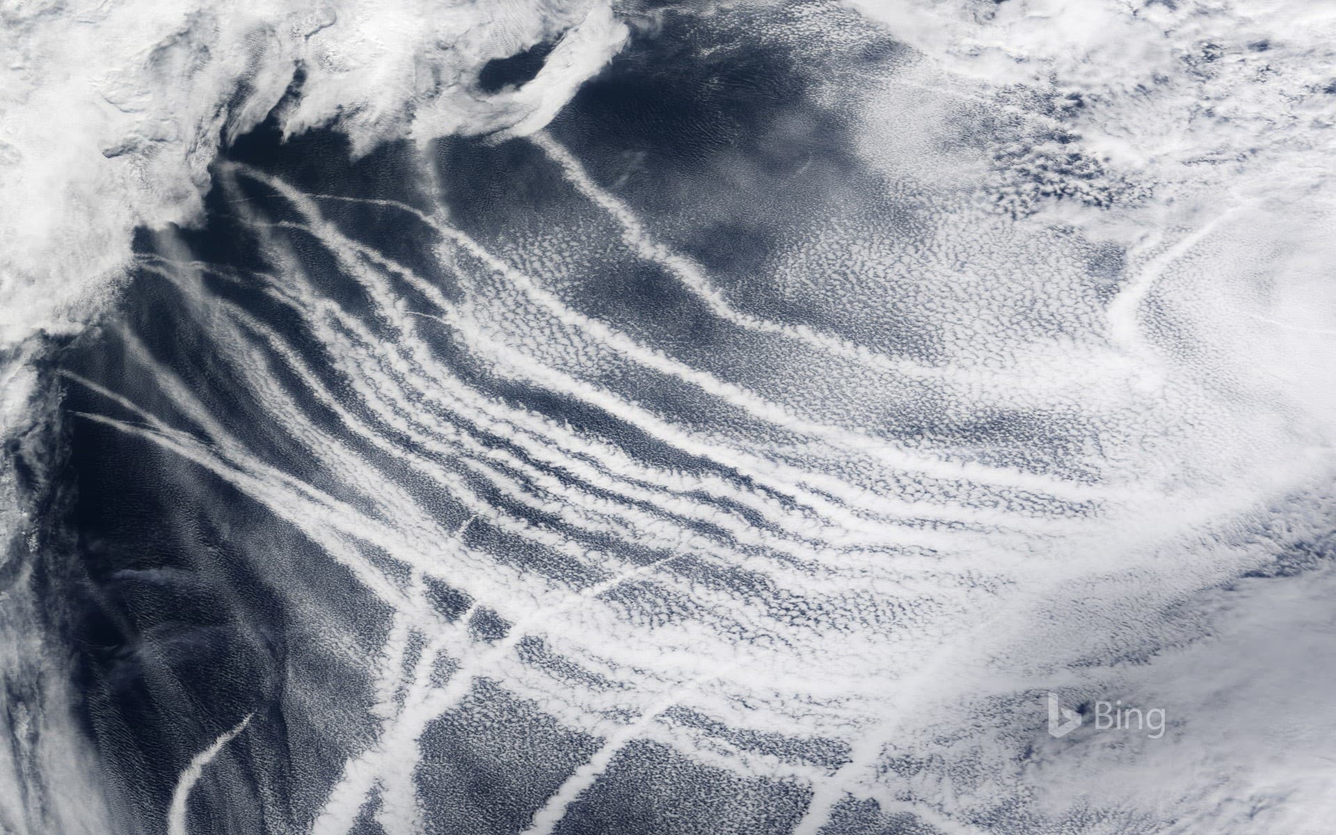 Bing Wallpaper: Ship tracks over the Pacific Ocean made visible by the clouds that form around the particles in ship exhaust