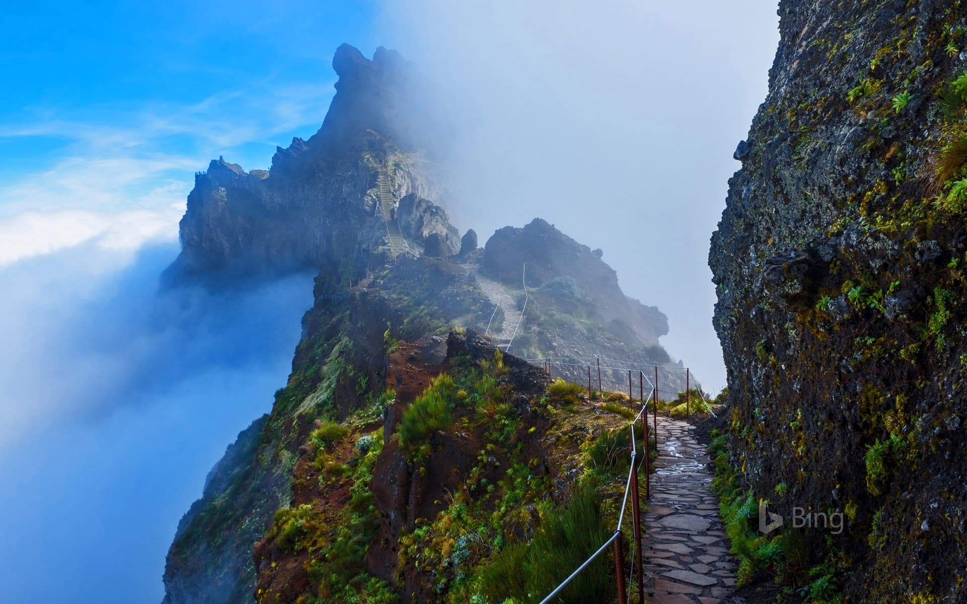 Bing Wallpaper: Mountain trail in Madeira, Portugal