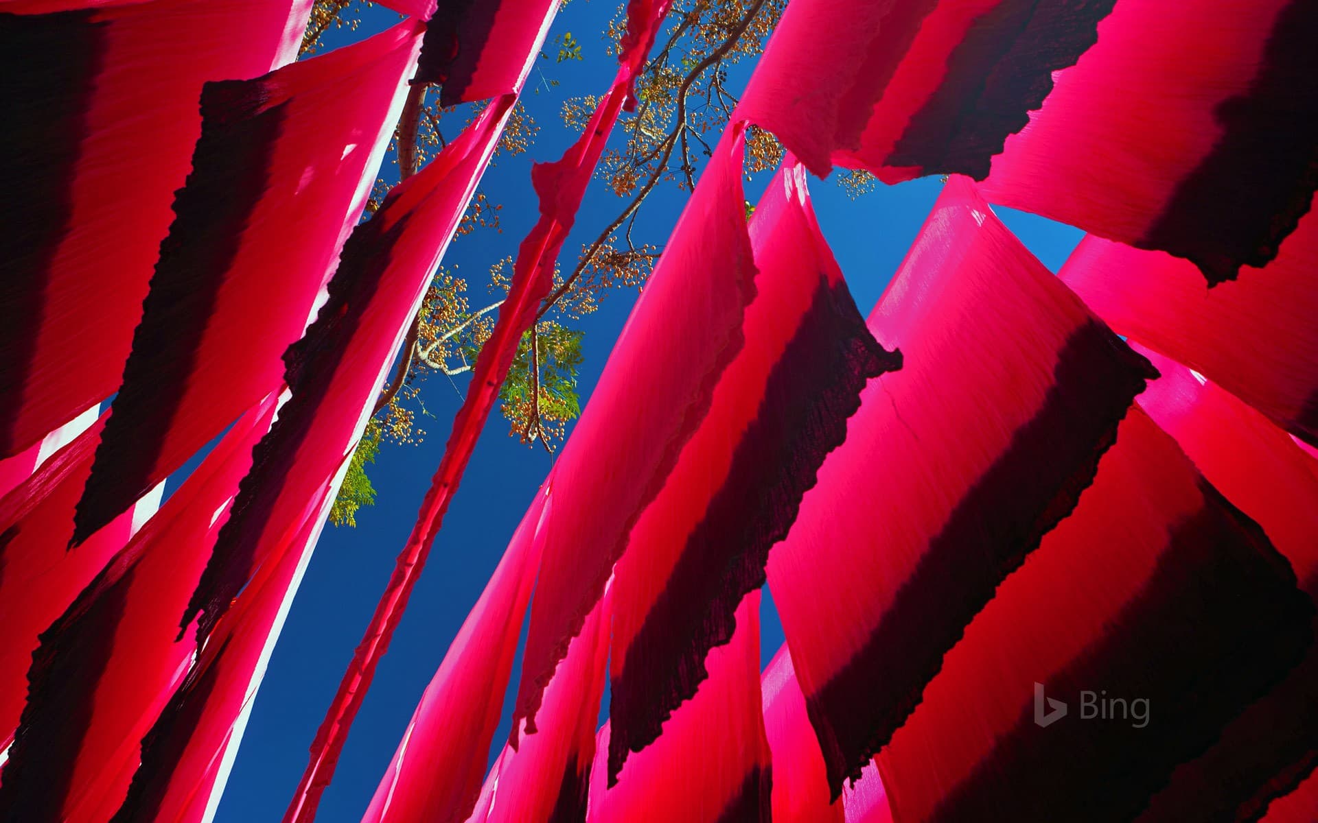 Bing Wallpaper: Dyed silk hanging to dry in Marrakech, Morocco