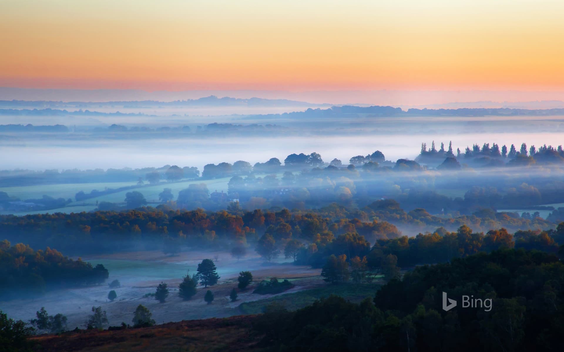 Bing Wallpaper: Misty sunrise in Ashdown Forest, East Sussex