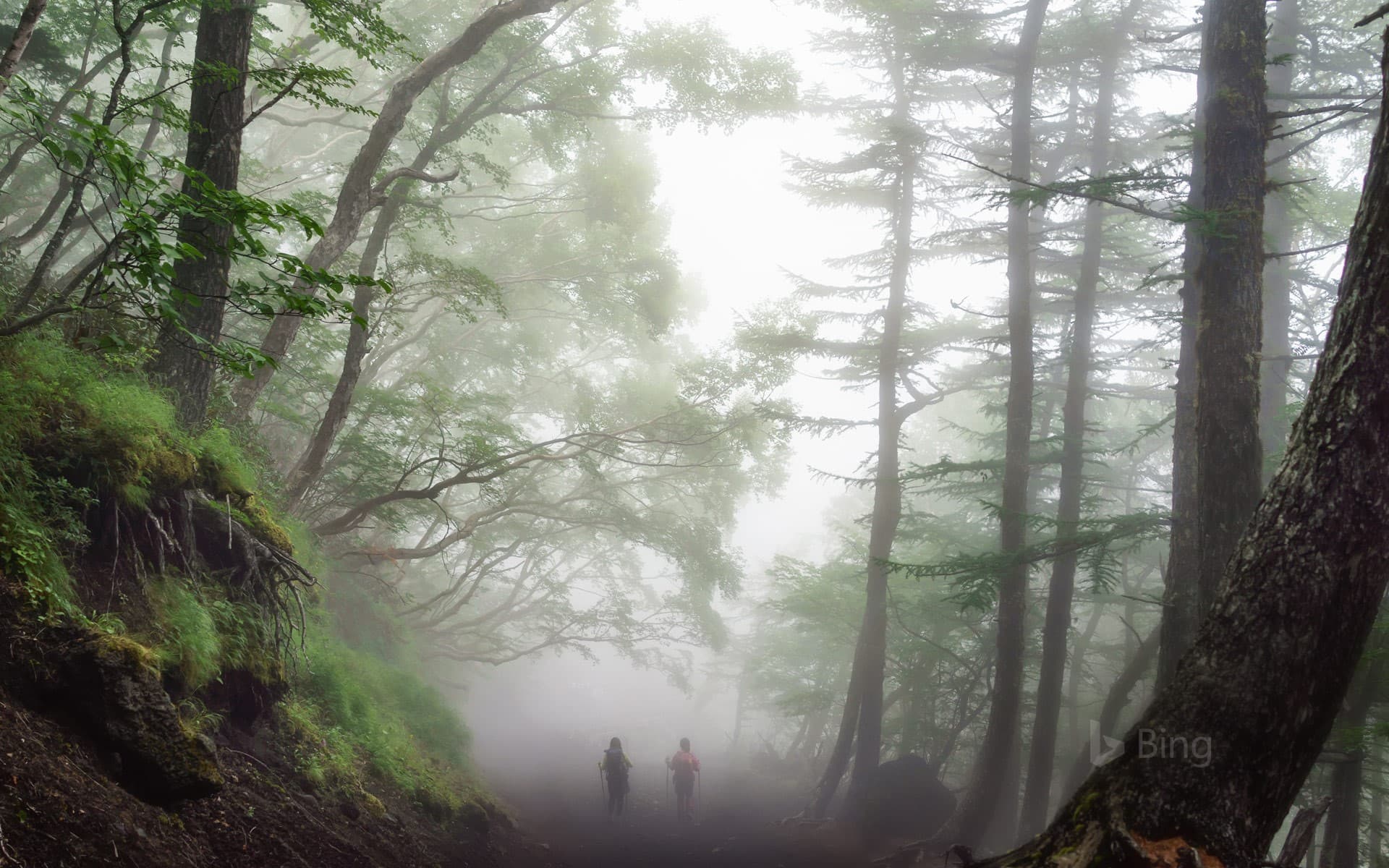 Bing Wallpaper: Following the Yoshida Trail on Mount Fuji, Japan