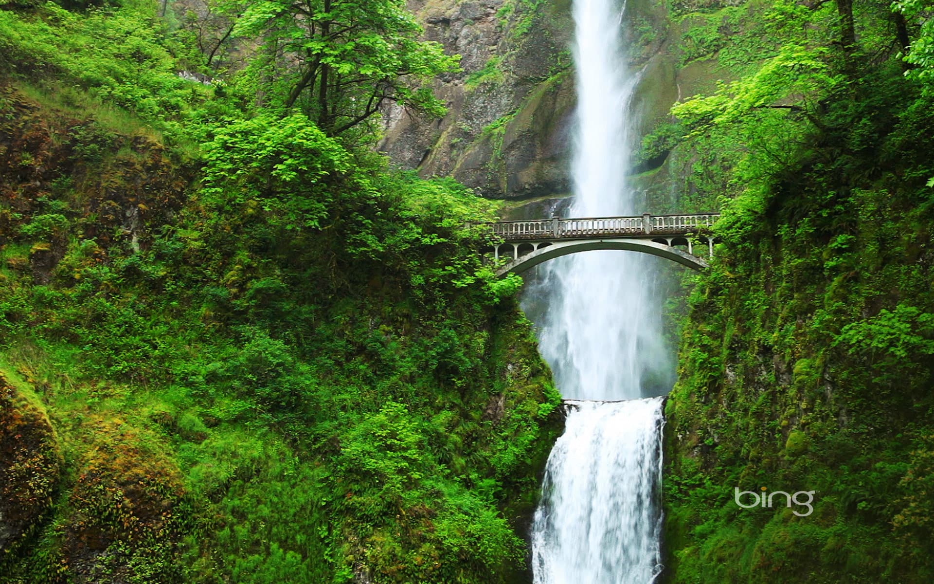 Bing Wallpaper: Multnomah Falls and Benson Bridge, Oregon