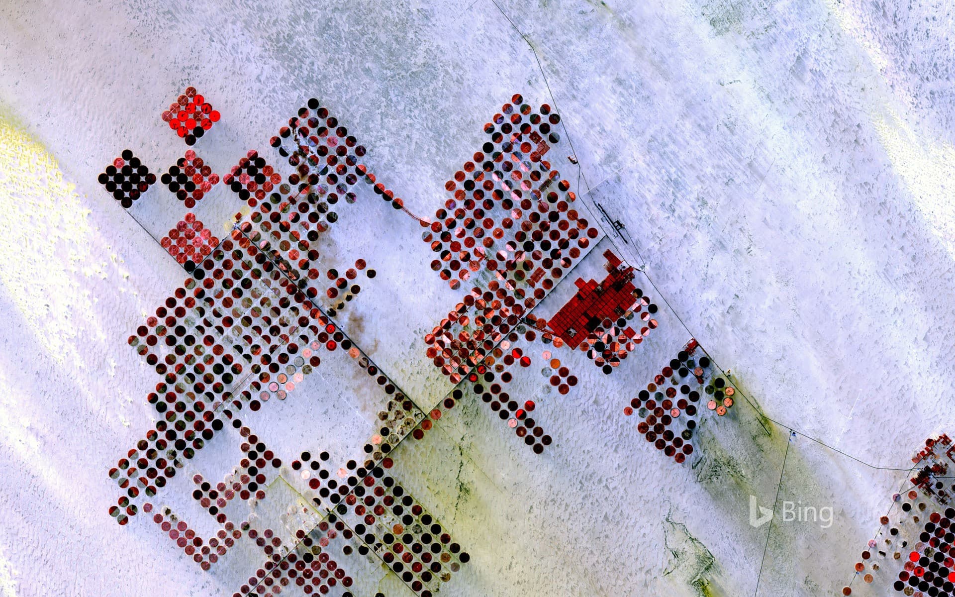 Bing Wallpaper: An irrigation system in southern Egypt