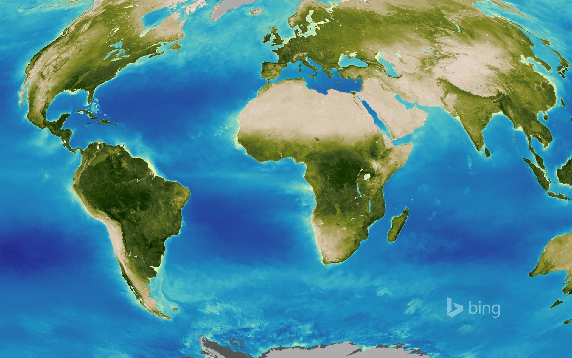 Bing Wallpaper: Map of Earth created by the Global Inventory Modeling and Mapping Studies (GIMMS) project at NASA’s Goddard Space Flight Center
