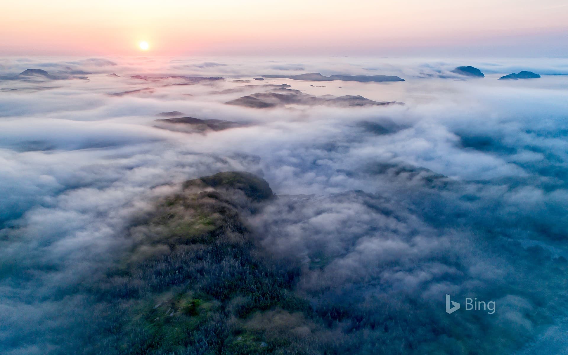 Bing Wallpaper: Fog along the coast, Newfoundland, Canada