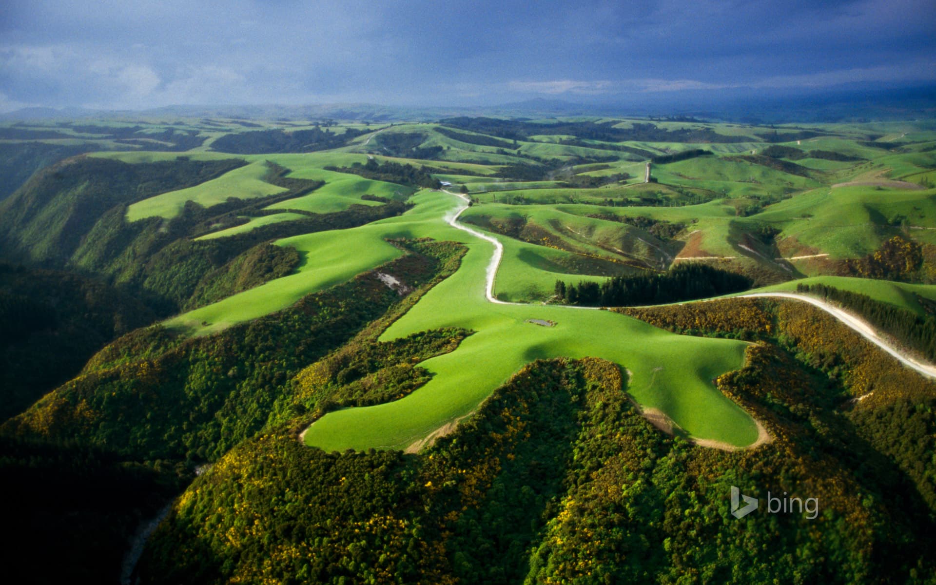 Bing Wallpaper: Aerial view of farmlands, North Island, New Zealand