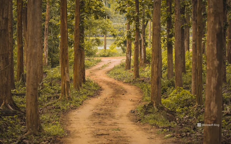 Nagarhole National Park, Karnataka, India