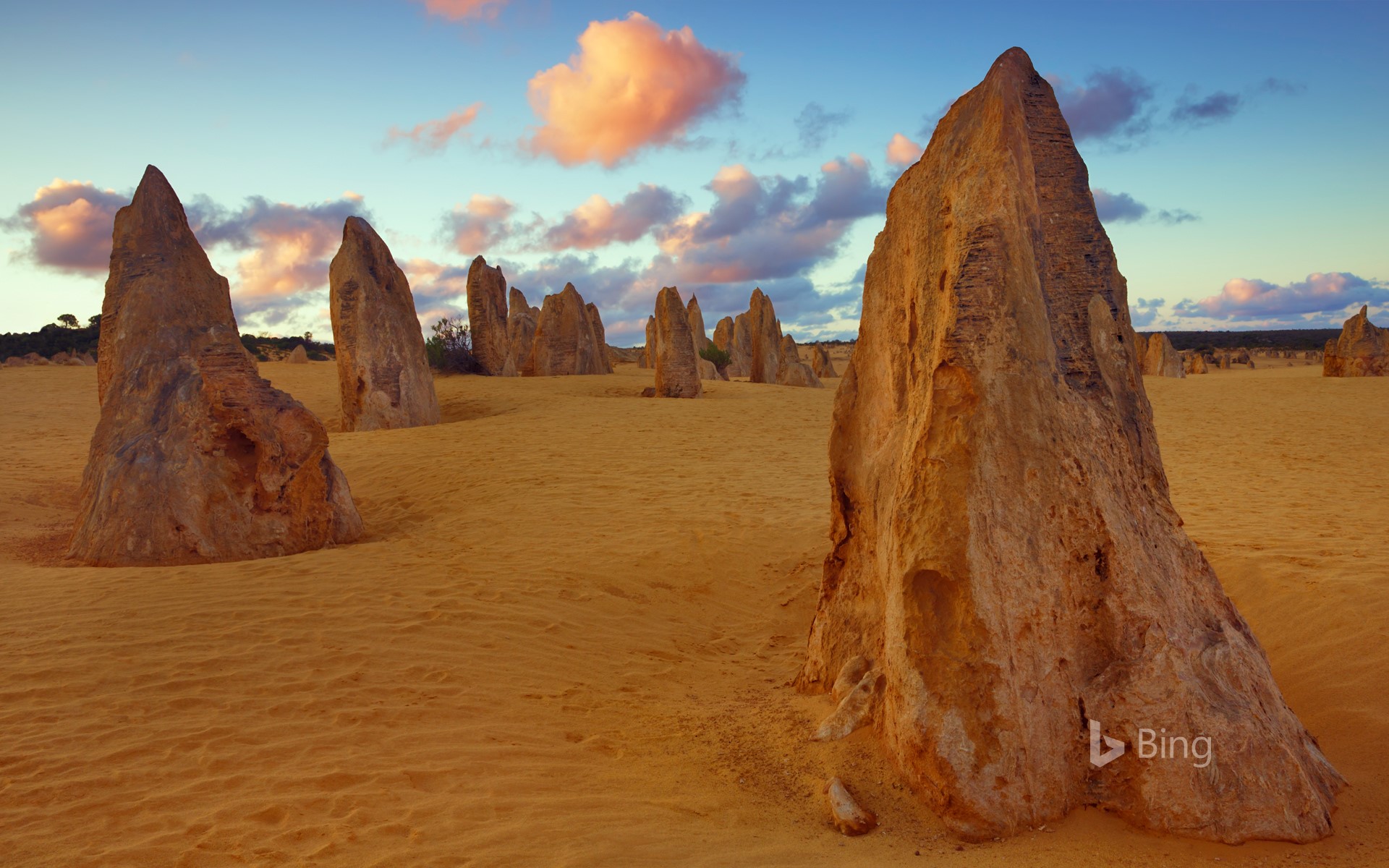 Bing Wallpaper: The Pinnacles at Nambung National Park, Western Australia