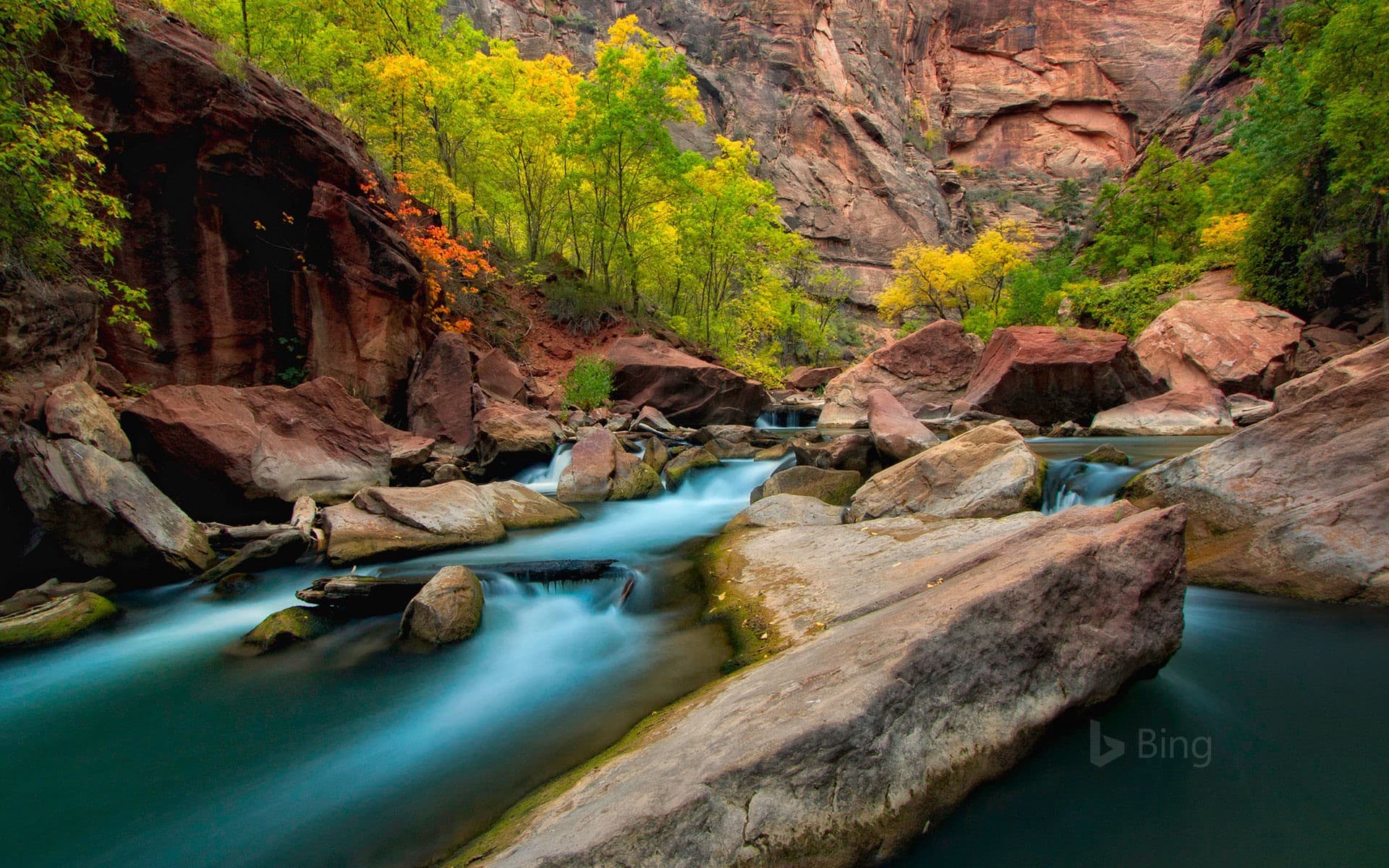 Bing Wallpaper: Virgin River in Zion National Park, Utah