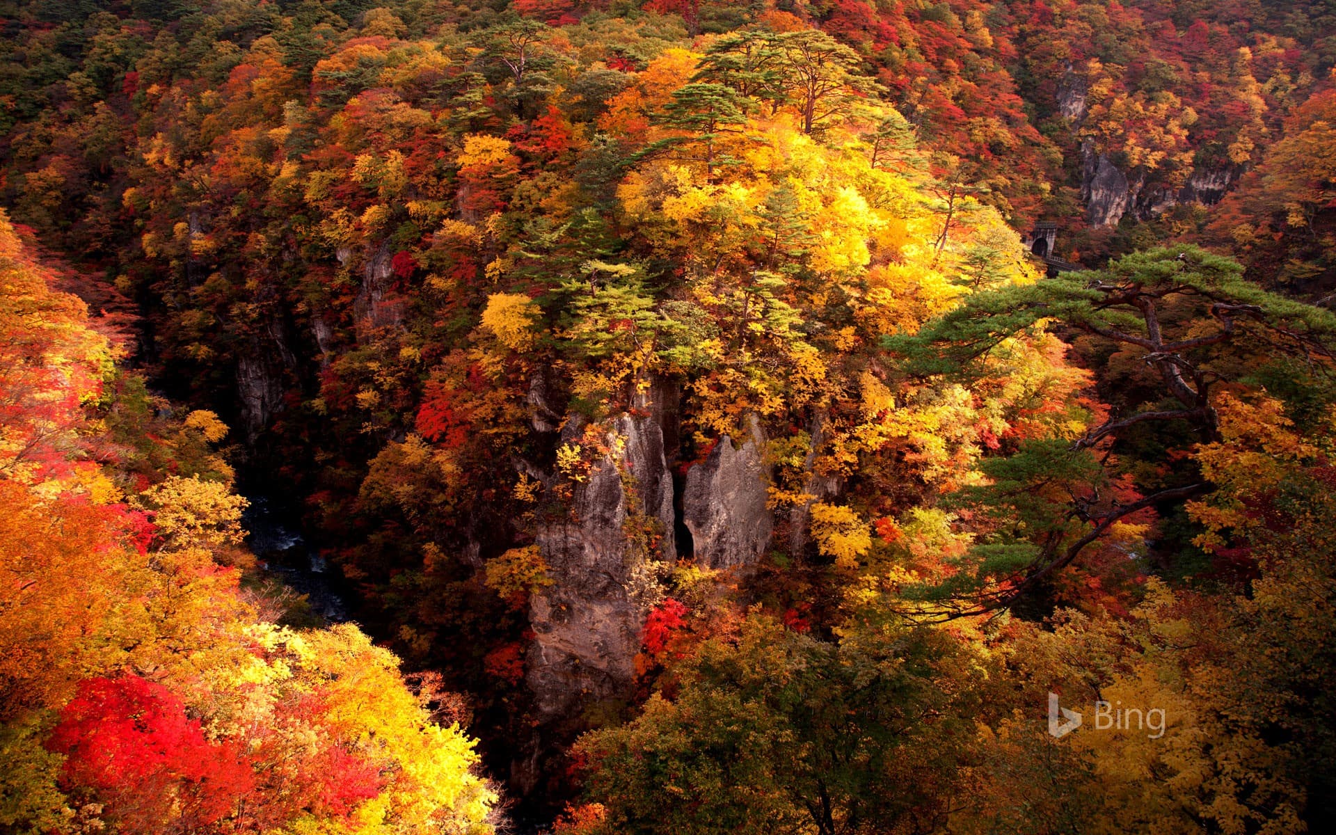 Bing Wallpaper: "Autumn leaves of Naruko Gorge" Miyagi, Osaki