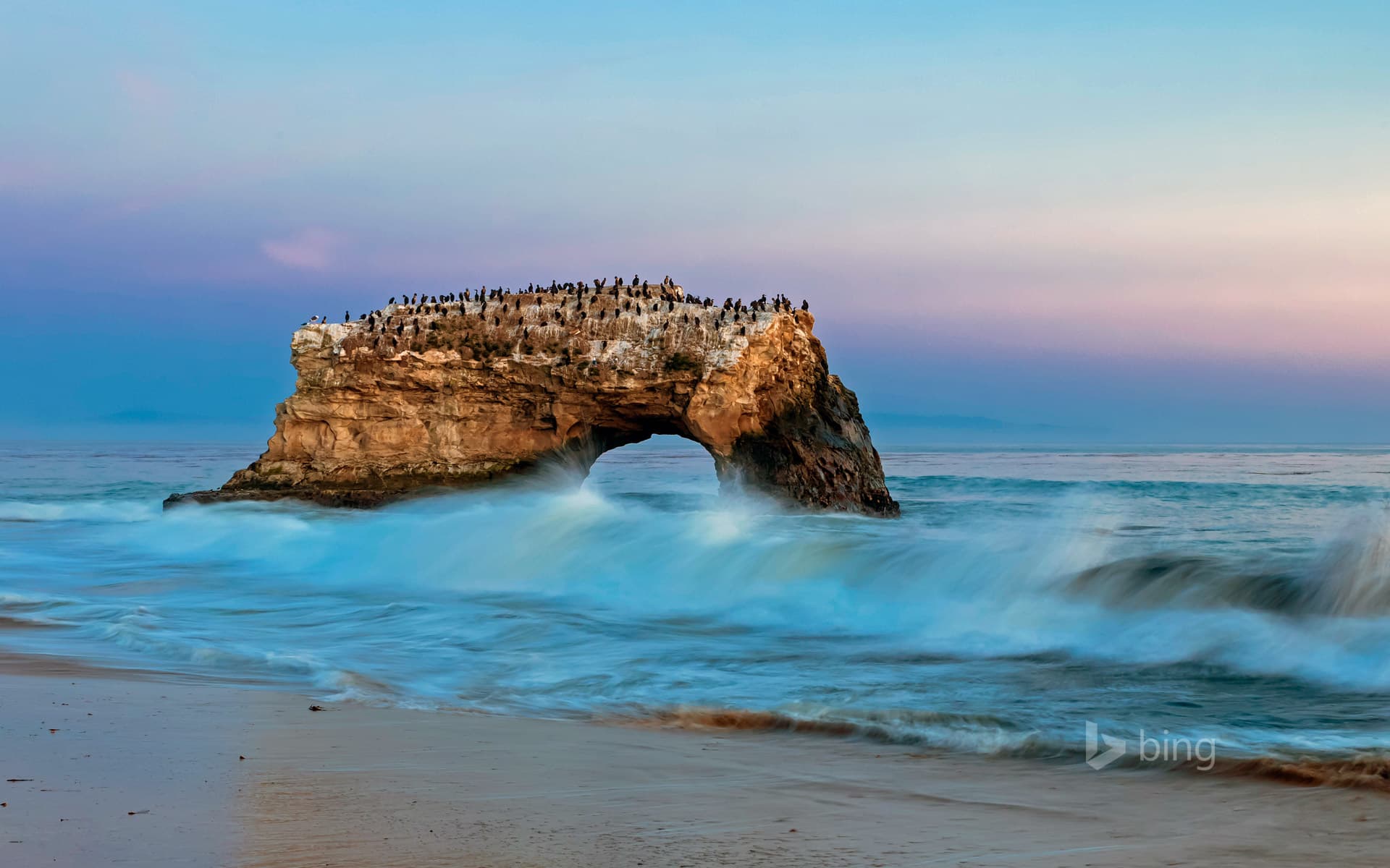Bing Wallpaper: Natural Bridges State Beach, Santa Cruz, California