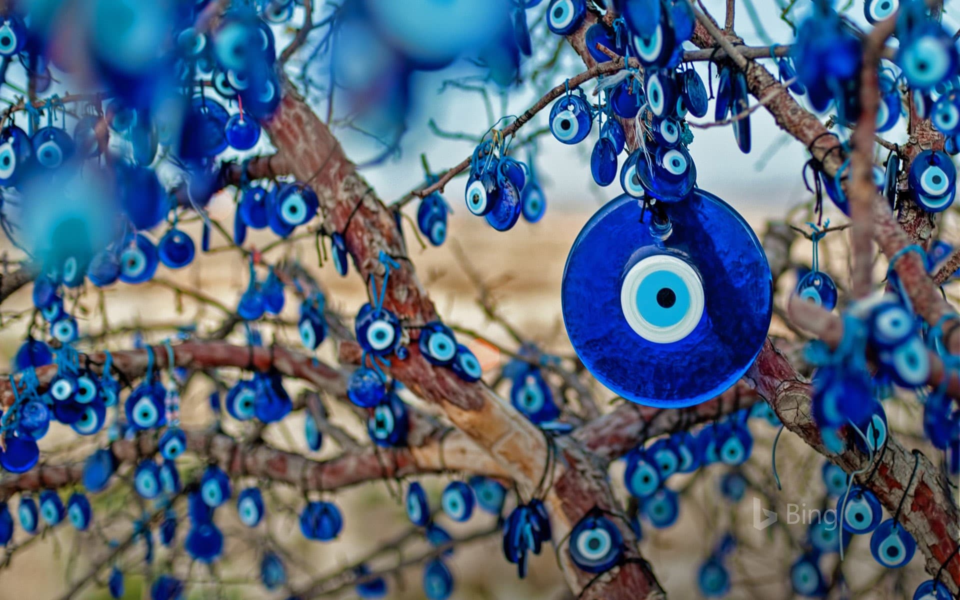 Bing Wallpaper: Tree decorated with amulets called nazars, Goreme National Park, Cappadocia, Turkey