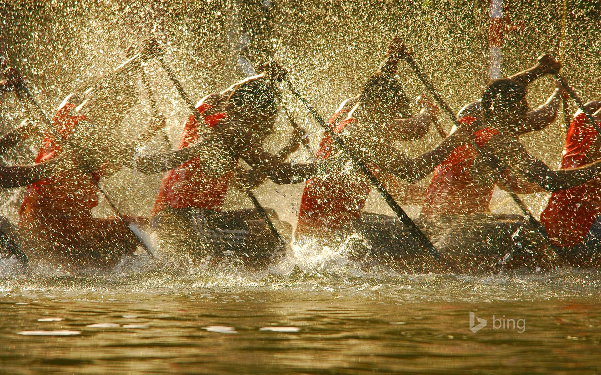 Bing Wallpaper: Competitors in the Nehru Trophy Boat Race in Alappuzha, India