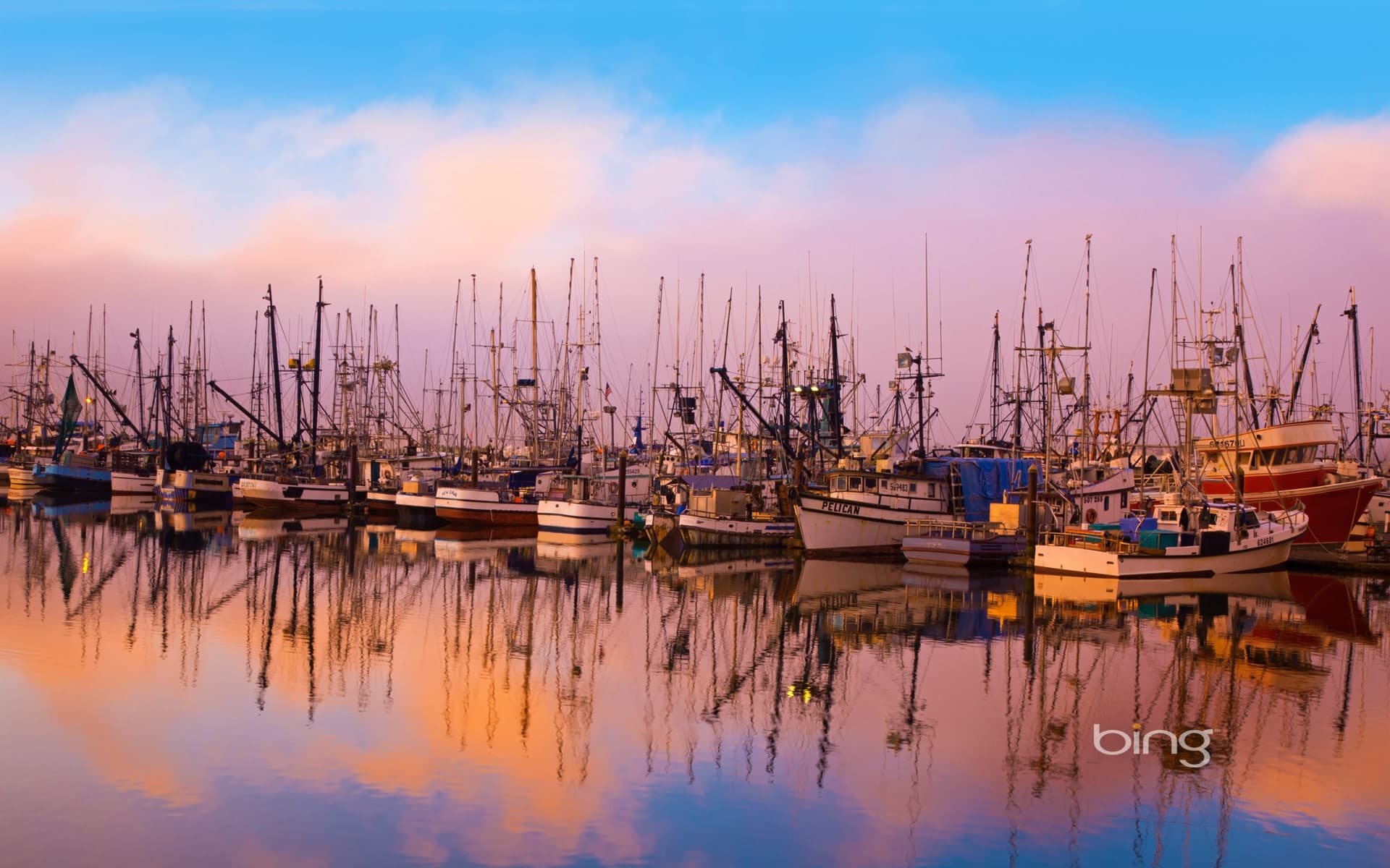 Bing Wallpaper: Fishing boats moored in Newport, Oregon