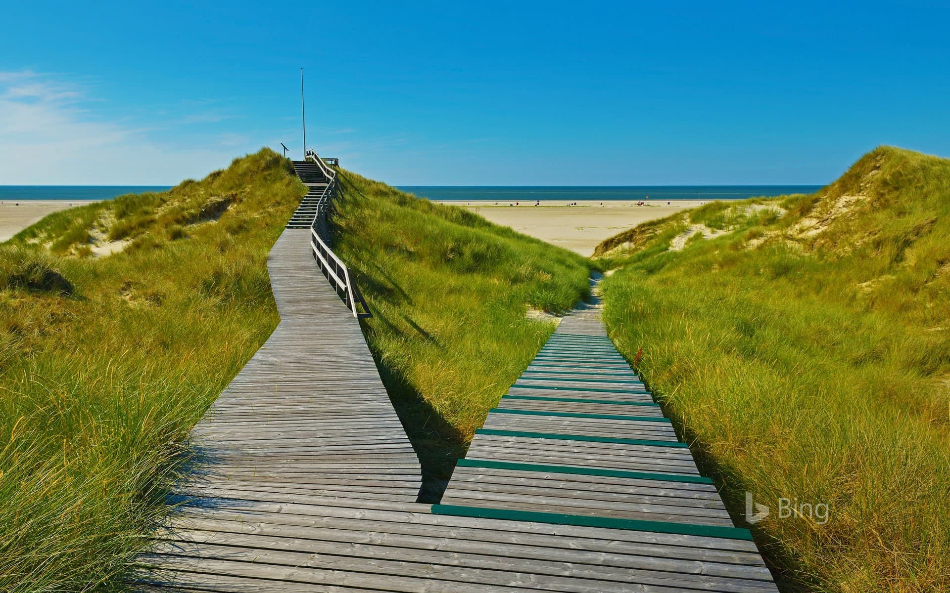 Bing Wallpaper: A boardwalk in Norddorf on Amrum Island, Germany