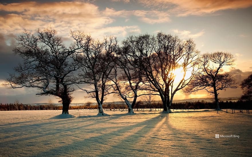 Bing Wallpaper: Northumberland, England