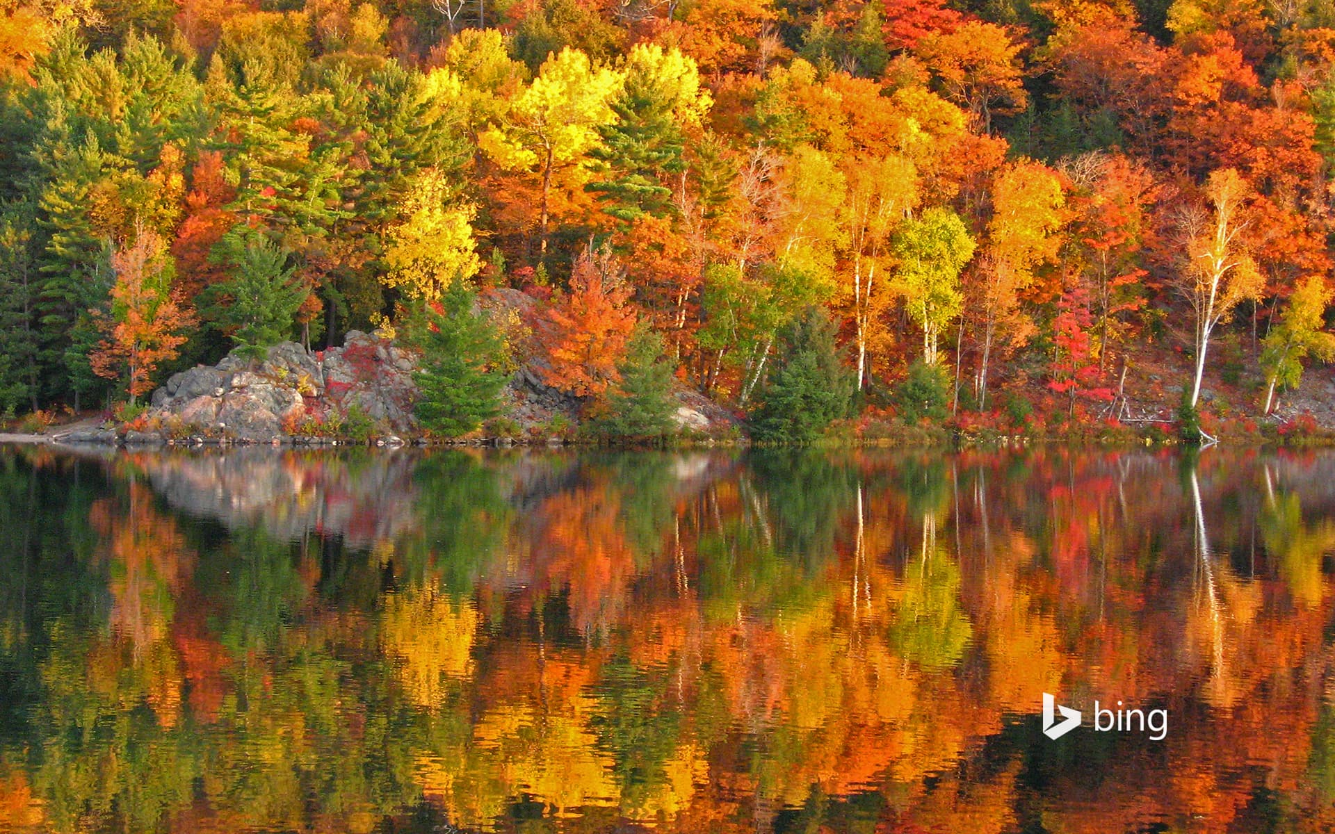 Bing Wallpaper: Autumn at George Lake, Ontario, Canada