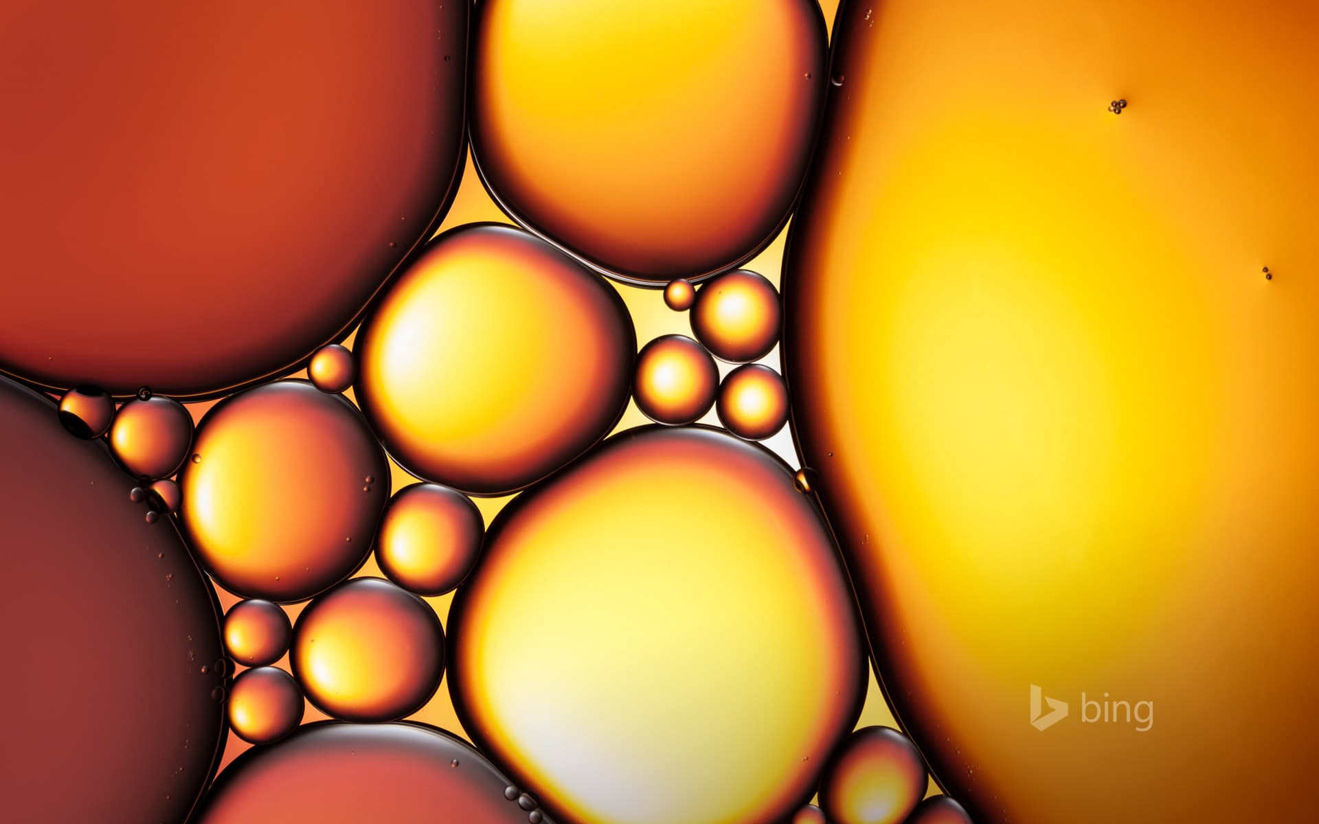 Bing Wallpaper: Abstract image of oil and water symbolizing the sacred oil of the Hanukkah tradition