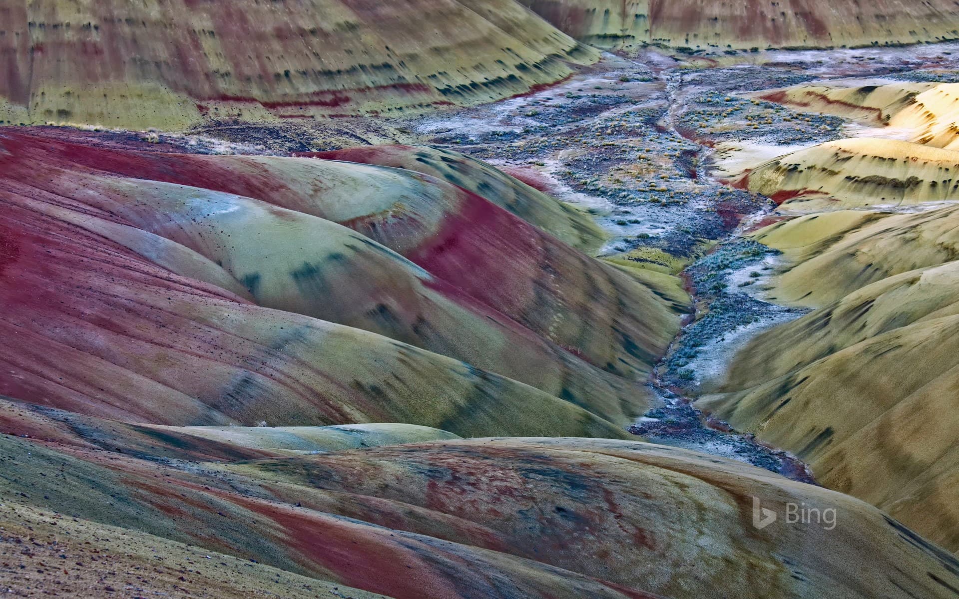 Bing Wallpaper: The Painted Hills in Oregon, USA