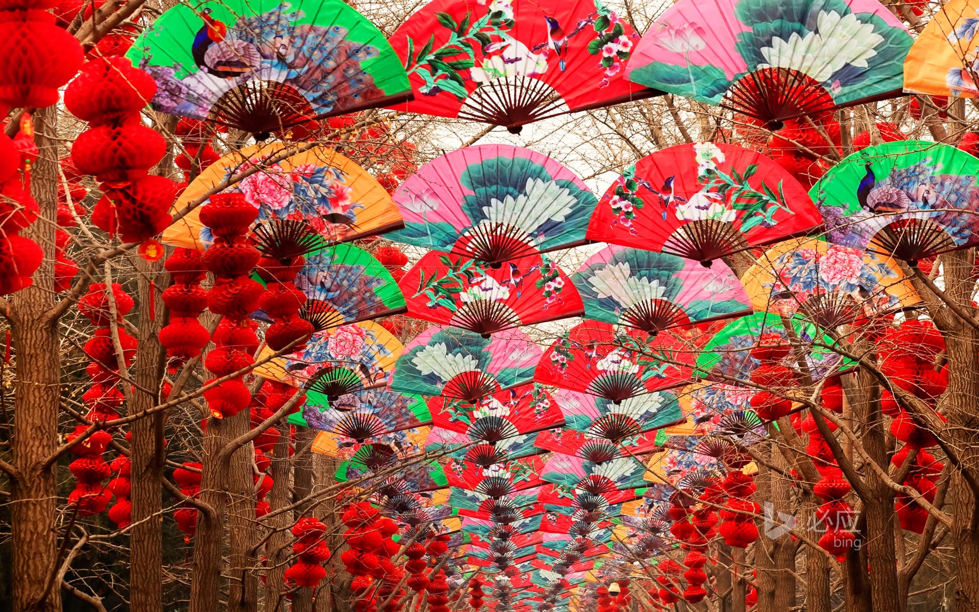 Bing Wallpaper: Paper fans and red lanterns during the Spring Festival in Beijing Temple of Heaven