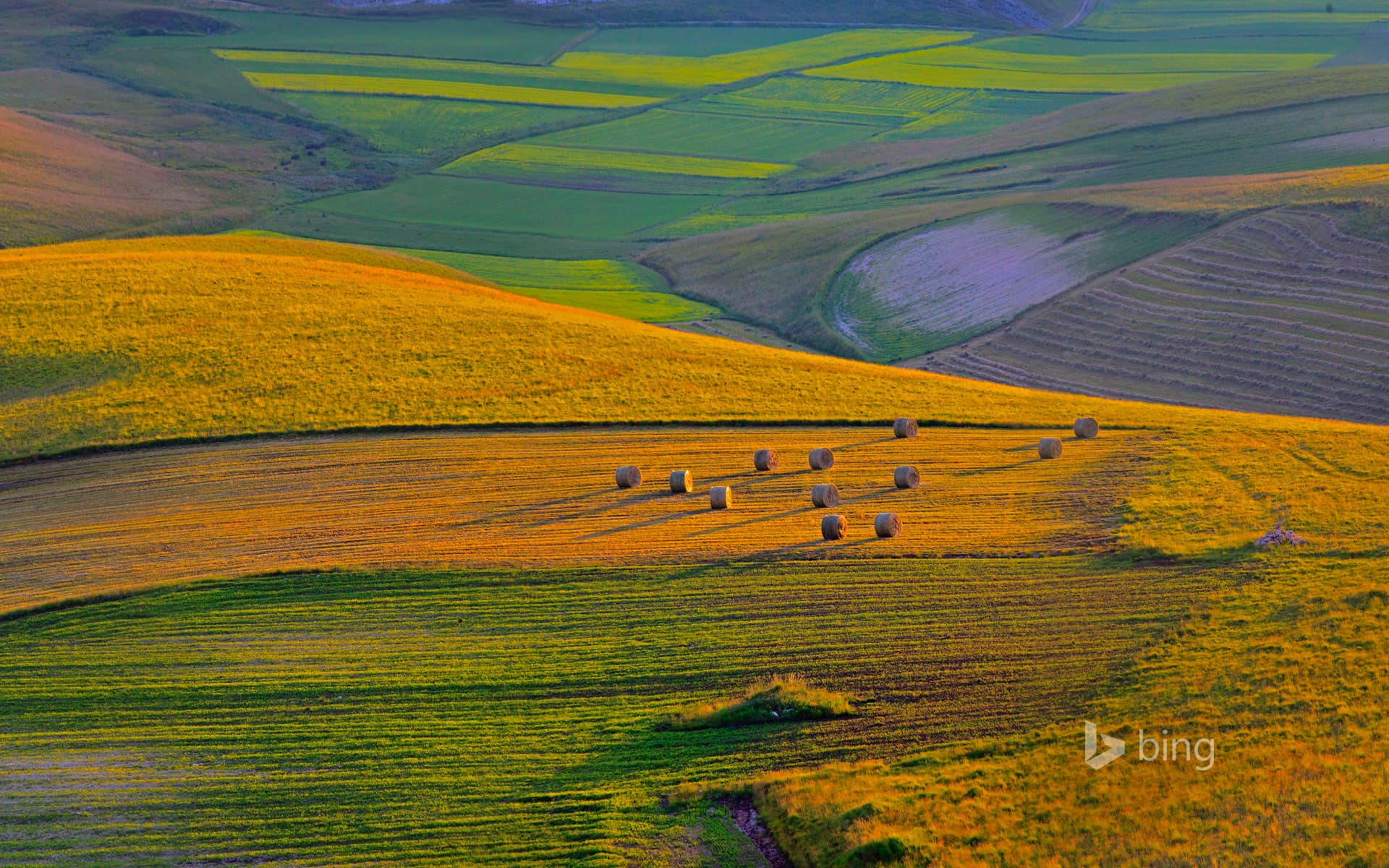 Bing Wallpaper: Sunset on Pian Grande plateau, Perugia district, Italy