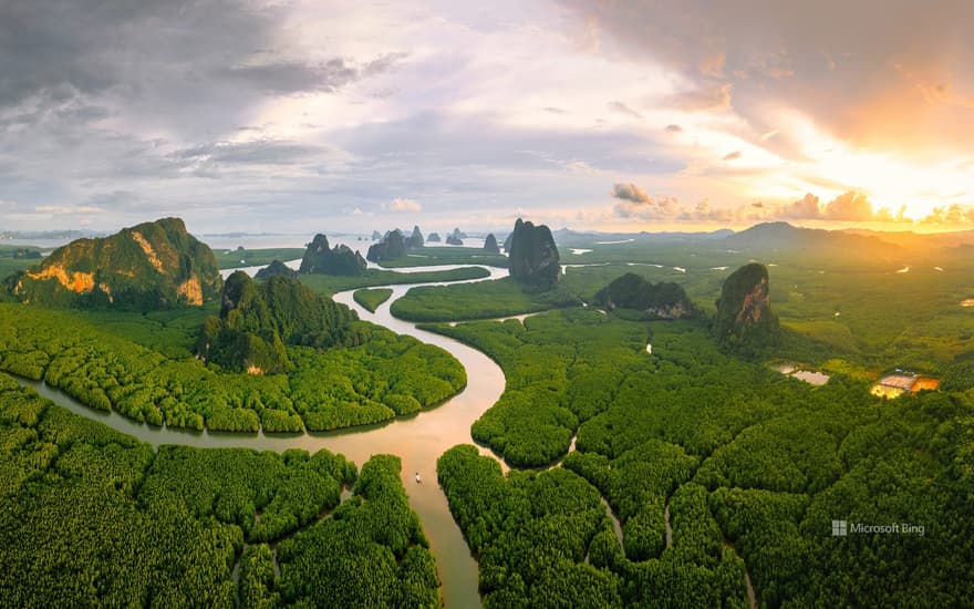 Mangrove forest, Phang Nga Bay, Andaman Sea, Thailand