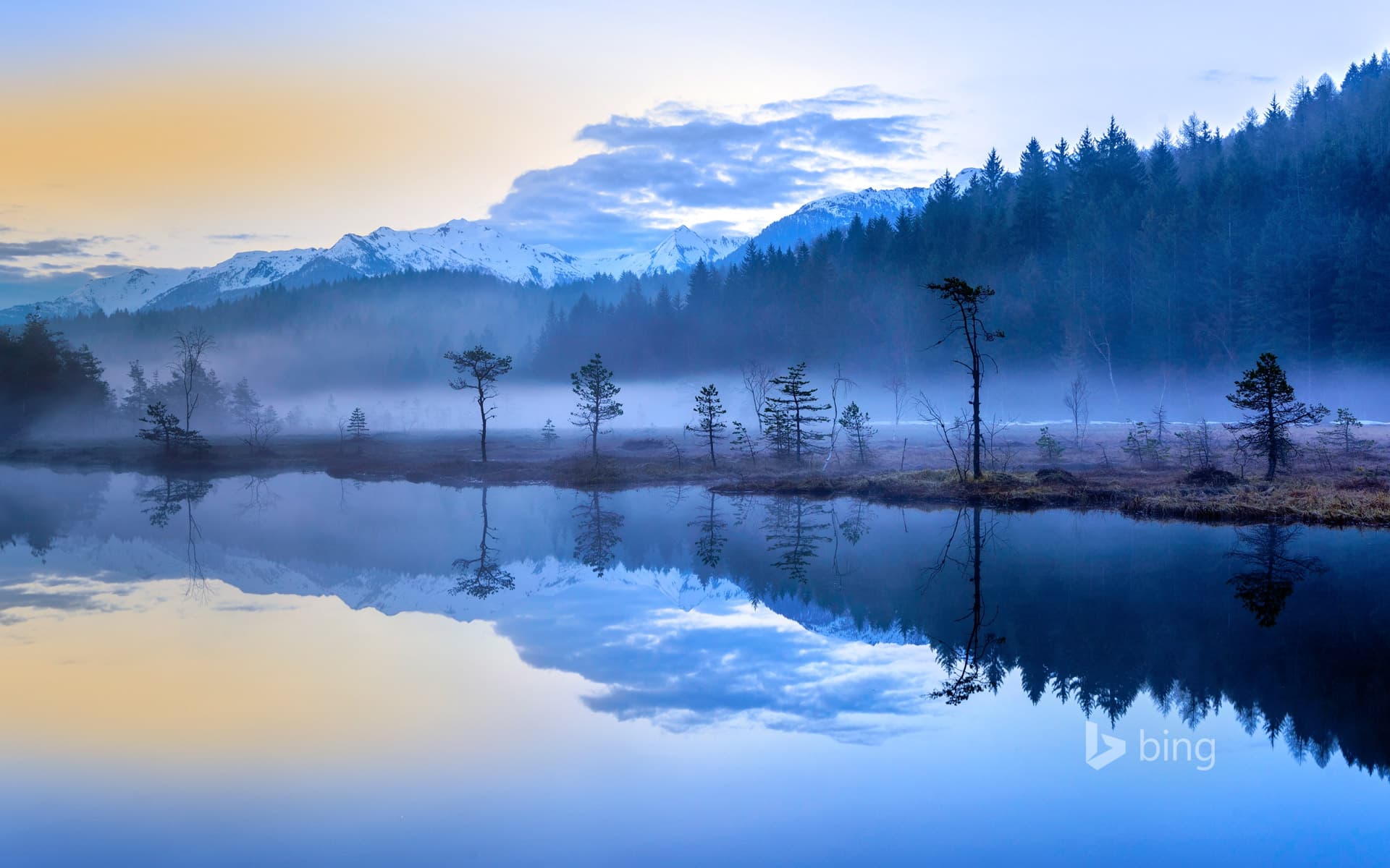 Bing Wallpaper: The misty bogs of Pian di Gembro Regional Reserve near Aprica, Italy