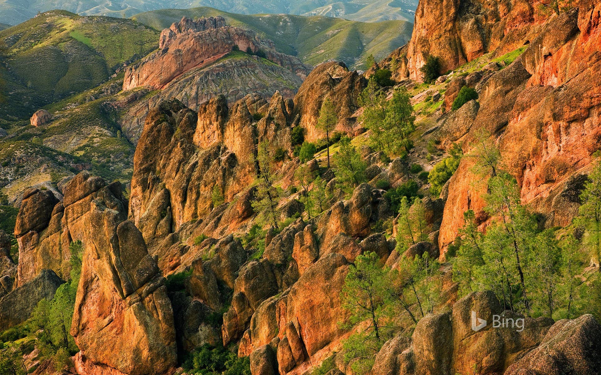 Bing Wallpaper: Volcanic slopes in Pinnacles National Park, California