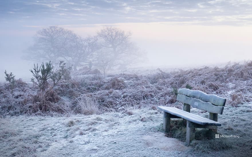 Ashdown Forest, East Sussex, England