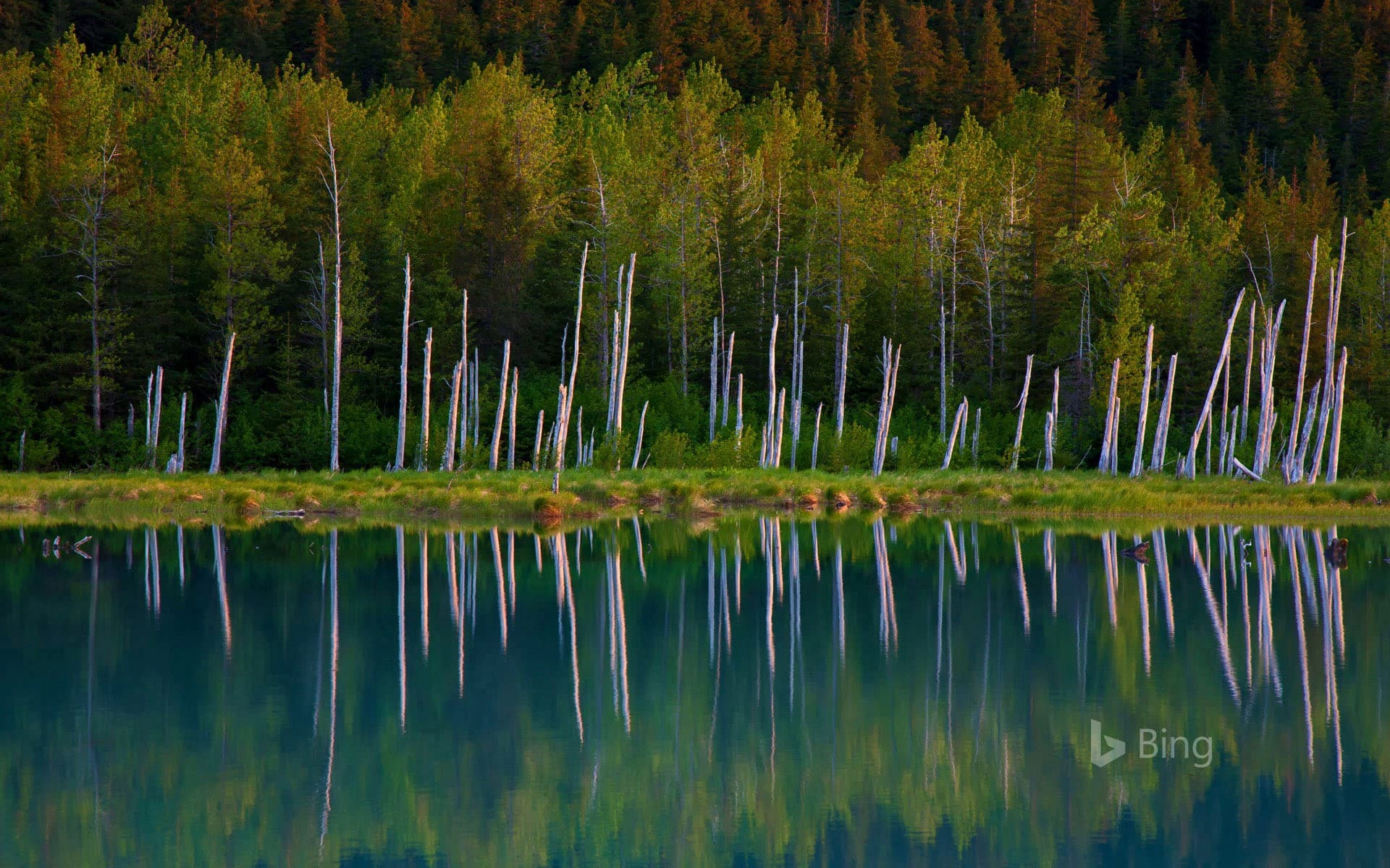 Bing Wallpaper: Portage Lake in Chugach National Forest, Alaska