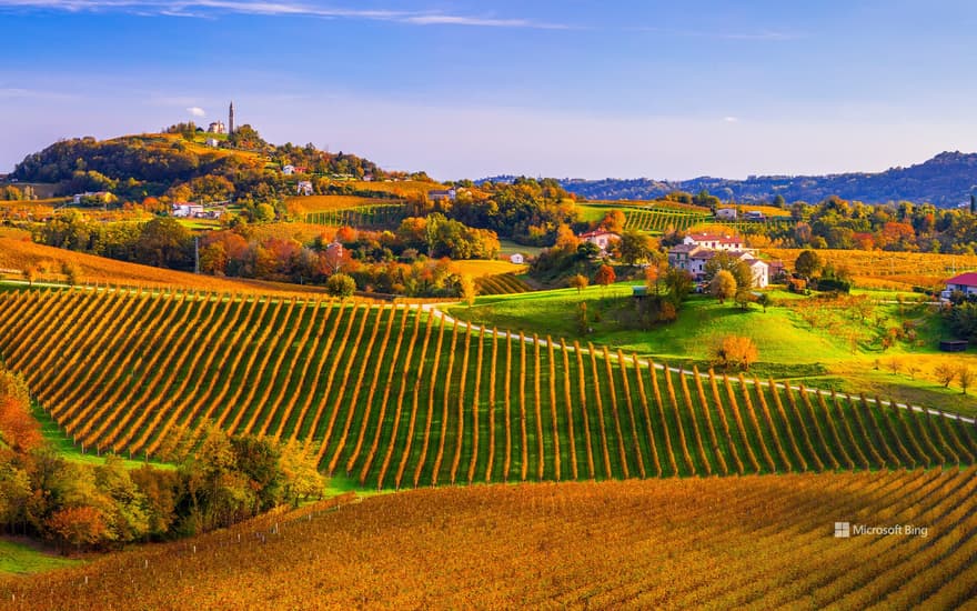 Prosecco Hills of Conegliano and Valdobbiadene, Veneto, Italy