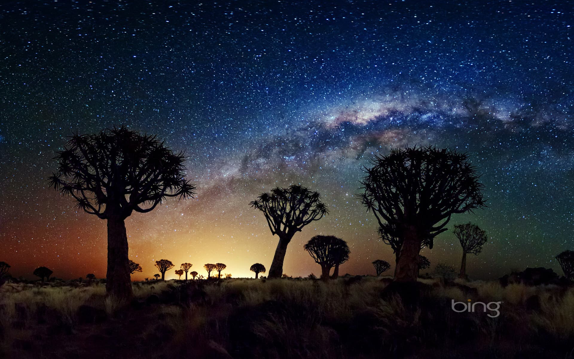 Bing Wallpaper: The Milky Way stretches over the Quiver Tree Forest, Namibia