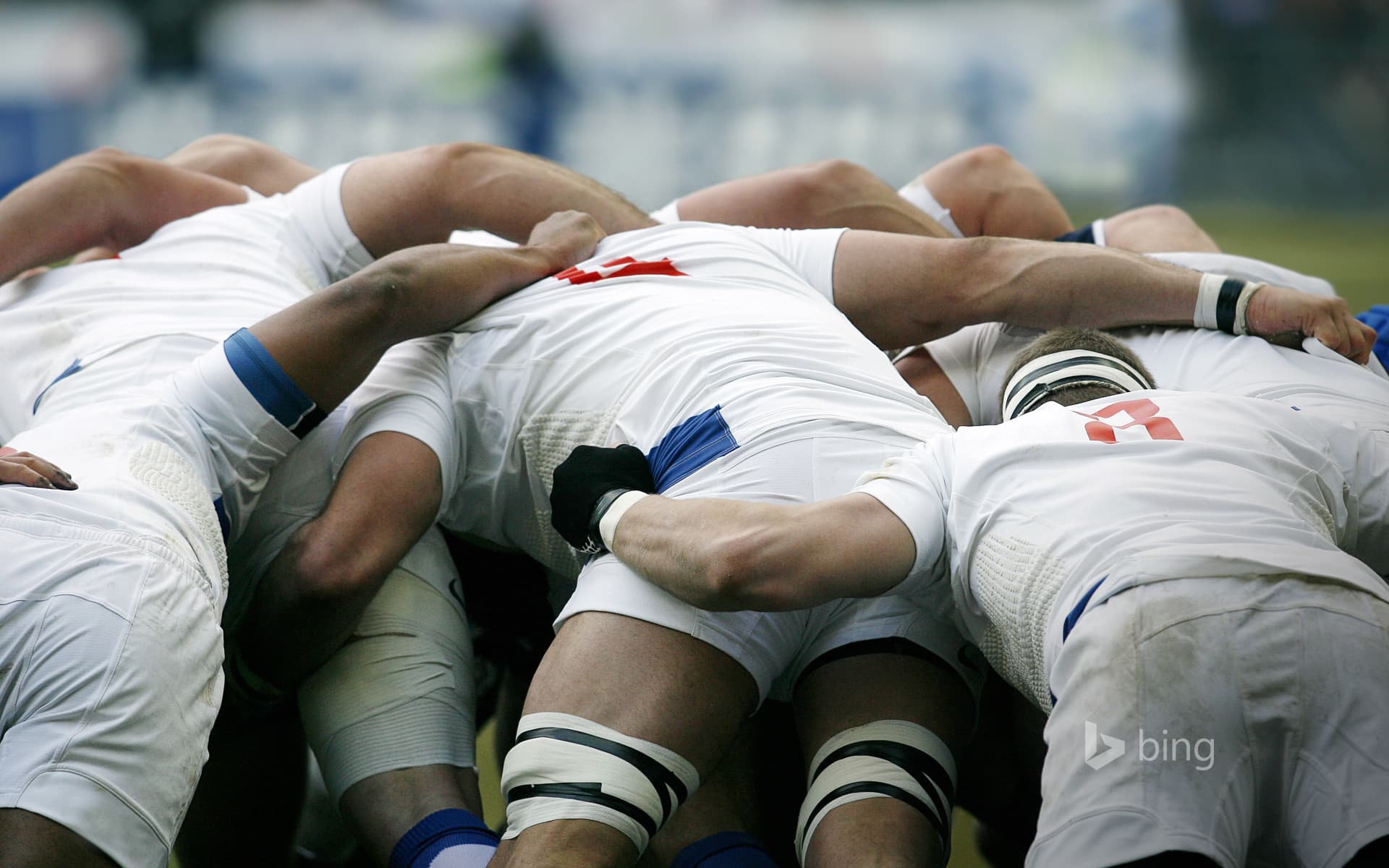 Bing Wallpaper: Rugby union players battle for the ball in a scrum