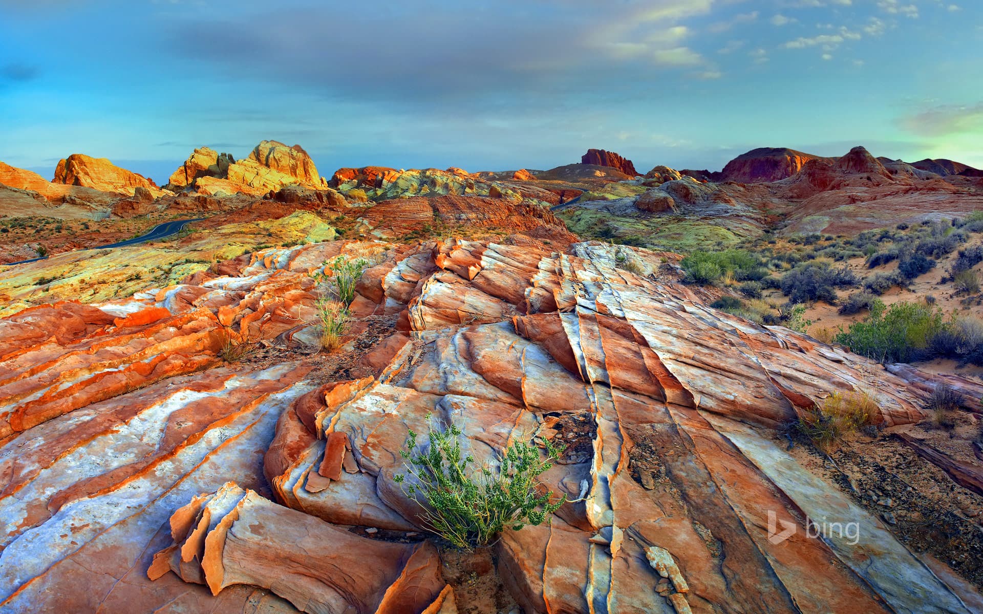 Bing Wallpaper: Rainbow Vista, Valley of Fire State Park, Nevada