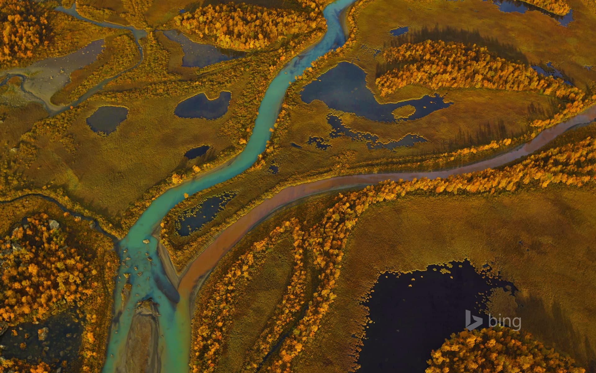 Bing Wallpaper: Rapa River delta in Sarek National Park, Sweden