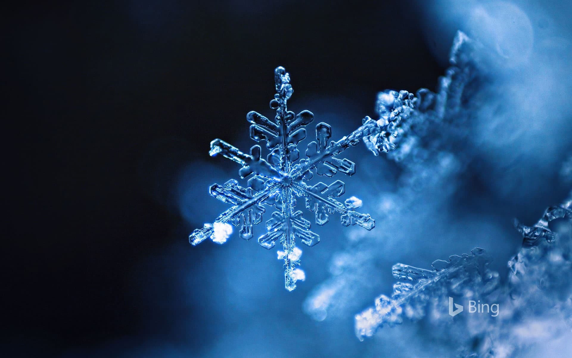 Bing Wallpaper: Snowflake