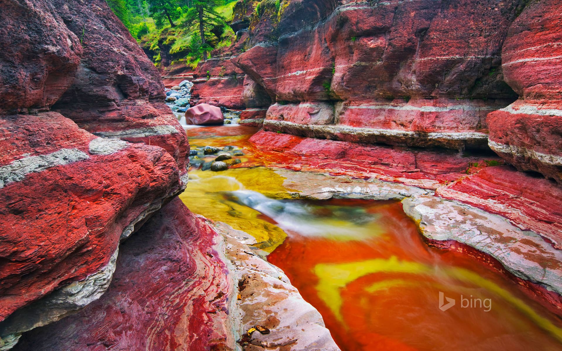 Bing Wallpaper: Mountain brook in Red Rock Canyon in Waterton Lakes National Park, Alberta, Canada