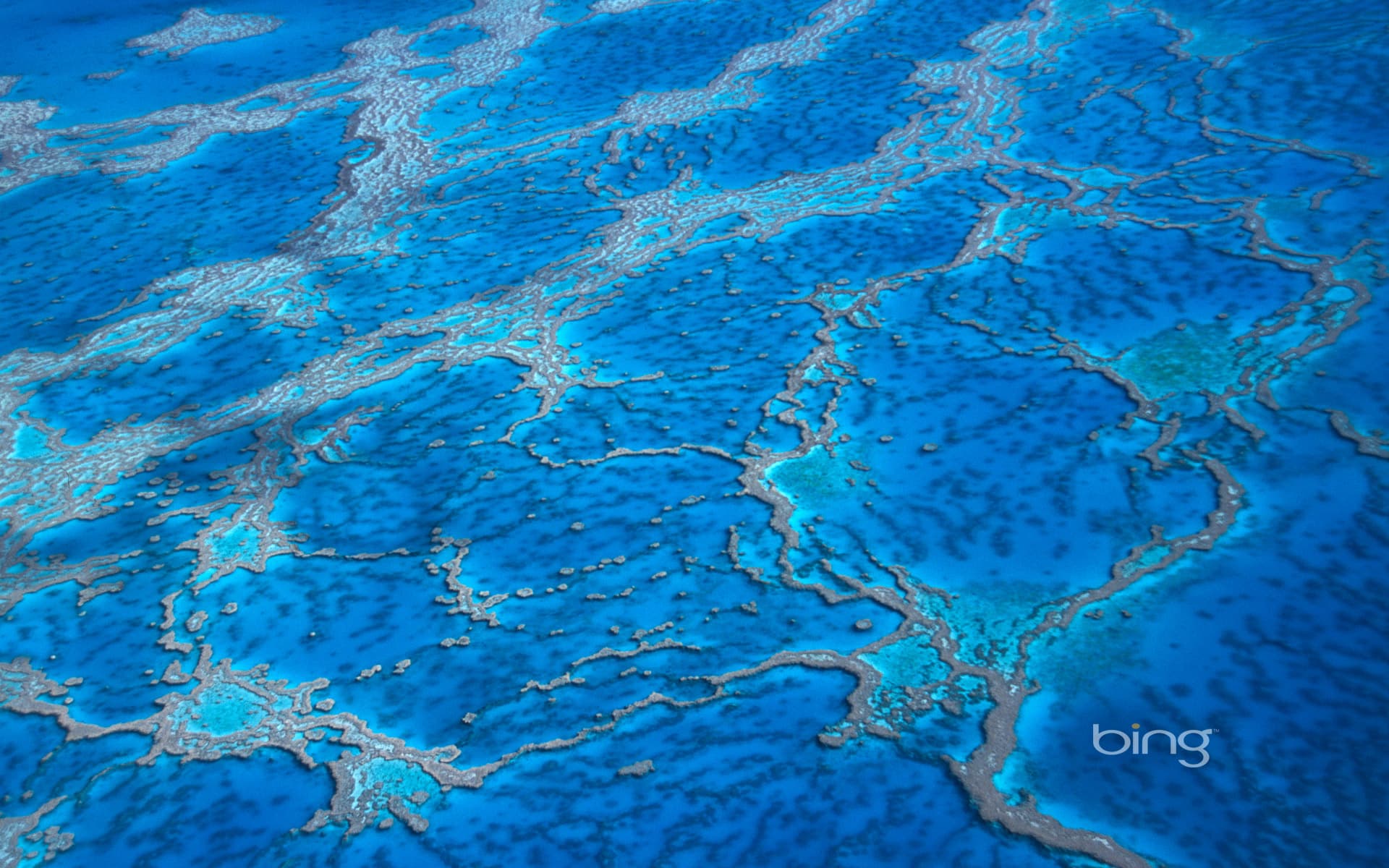 Bing Wallpaper: Aerial view of the Great Barrier Reef, Queensland, Australia