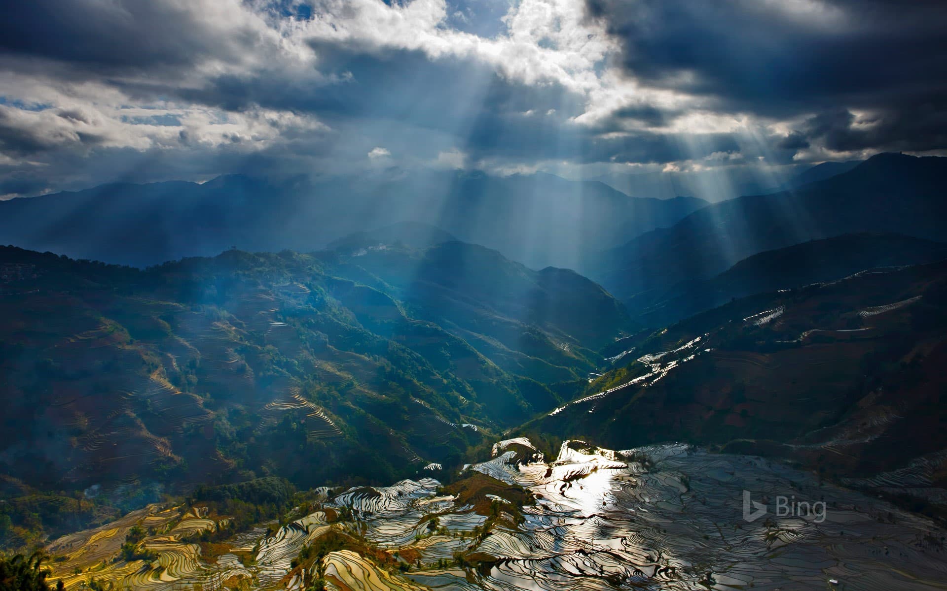 Bing Wallpaper: Sunlight reflecting on rice paddy terraces, Yuanyang County, China